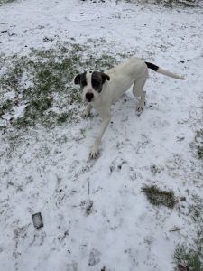 Beto’s Waiting for You 🐾