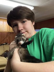 Flopper the ferret for sale