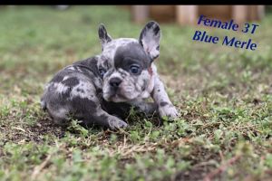 4 females 2 males ready to go