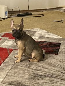 Loooking for new home❤️