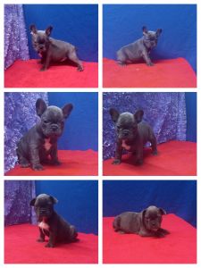 Lonnie, Linzi & Lora