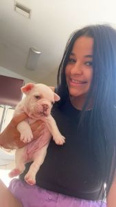 Puppy de buen estados y validates y gordos