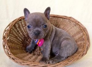 sweetest personality an gets along