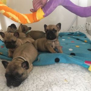 Last Two Boys Ready To Goo