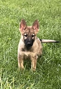 Looking for a family to love