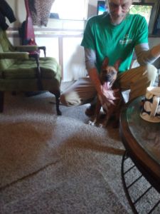 Beautiful puppy for sale