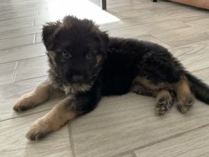 For any information ***