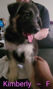 Kimberly needs to be rehomed!