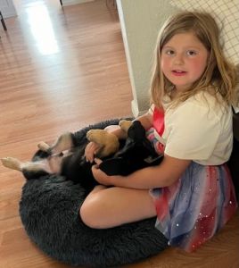 10 week old Puppy needs a great home