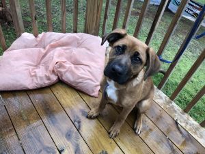 Need to find a good home for her