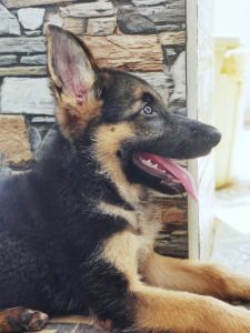 2 vaccination are conpleted