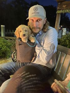 F1 Goldendoodle Puppy