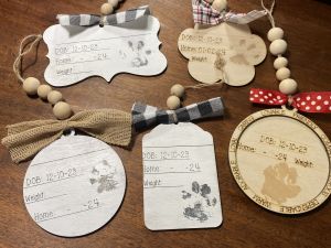 F2b mini Golden Aussi Doodles