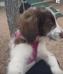 Looking for a forever home