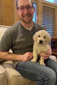 Puppy culture raised Quality Goldens