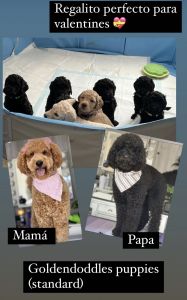 The perfect valentines gift