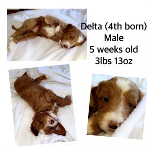 *** - Home & Family Raised