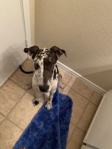 4 months old born may 10th