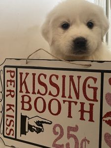 I’m purfect for you