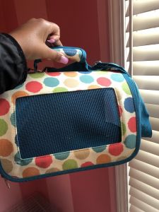 Two Male Guinea Pigs for Sale!