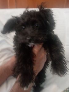 Sweet as can be....CHLOE