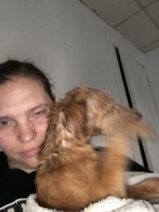 EUROPEAN JACK RUSSELL TERRIER