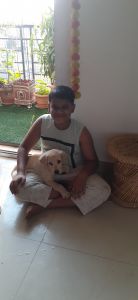 Labridoor male puppy 65 day