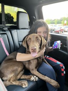 Sweet Riley looking to rehome