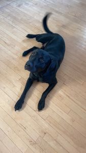 Don’t want to but have to