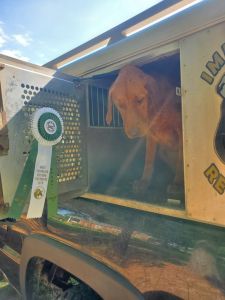 Superstars with drive and on/0ff switch