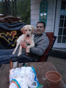 8 month old male lab