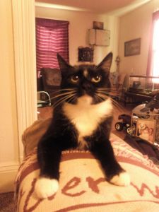 NEED TO DOWNSIZE ASAP