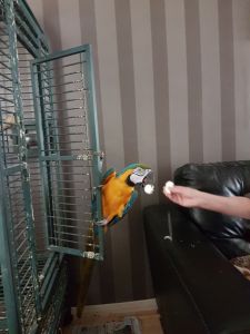 233 W 49th St, New York, NY 10019