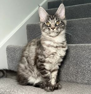 One Girl One Boy Ready To Leave❤️💙