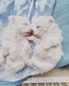 READY TO GO HOME TODAY