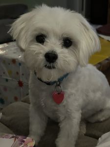 One owner since birth ( me)