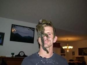 Ice loving Twin babies Marmoset monkeys ready