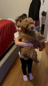 KOBE - Needs new home