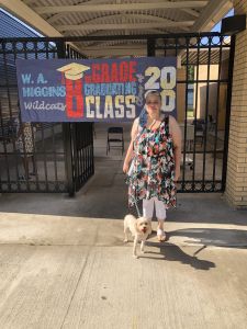 Mason needs a new home