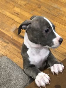 You know you want to love me