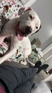 Casper known as caspeee or my little crack head