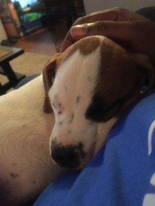 Can’t keep him but I love him