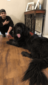 Bookcliff Newfies