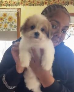 Hazel Needs A Loving Home