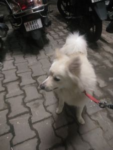 I newly shifted to government quarters,