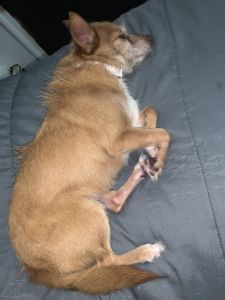 I’m trying too sell her too somebody