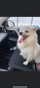 He need a new family