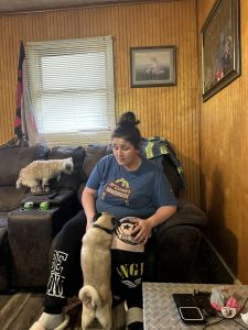 Pug puppy for sale 5 month old fixed utd micro chipped and more