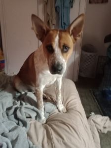 Moving out of state need to sell within the next couple hours