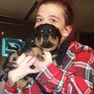 Puppies for sale in Arkansas